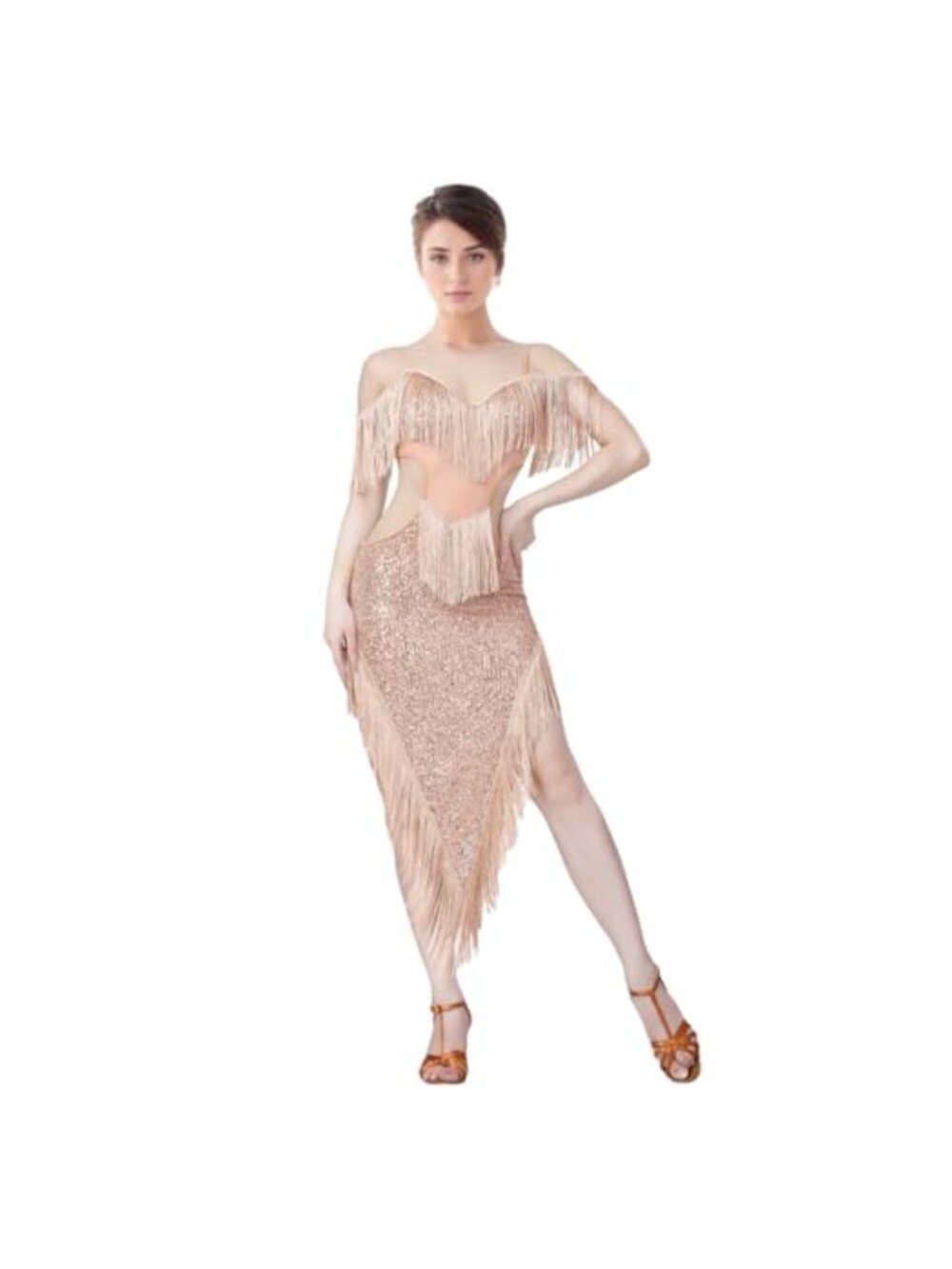 Sequin Fringe Latin Dance Dress Mesh Glitter Salsa Bodycon Fringe Dress